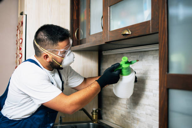 Best Pest Control Near Me  in Roslyn Estates, NY