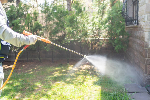 Best Cockroach Control Services  in Roslyn Estates, NY