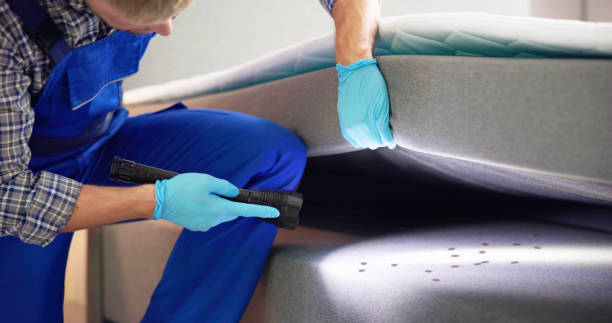 Best Best Pest Control Companies  in Roslyn Estates, NY