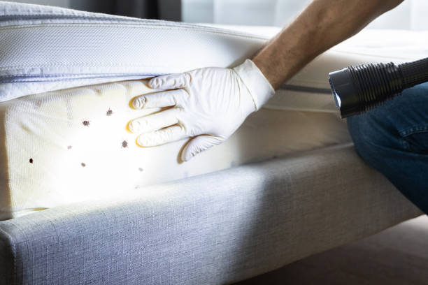 Best Rat Extermination Near Me  in Roslyn Estates, NY