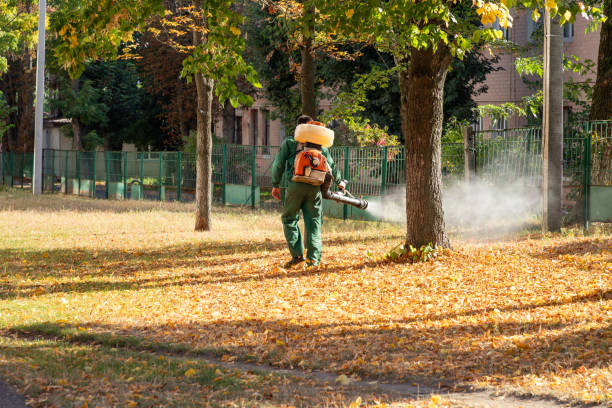 Best Bed Bug Extermination  in Roslyn Estates, NY