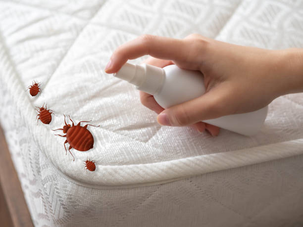 Best Pest Removal Services  in Roslyn Estates, NY