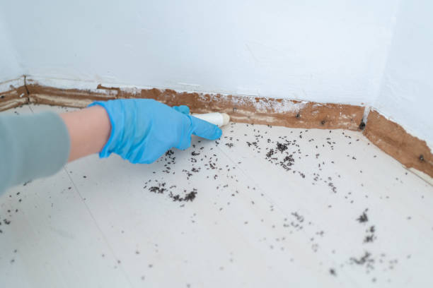 Best Pest Prevention Services  in Roslyn Estates, NY