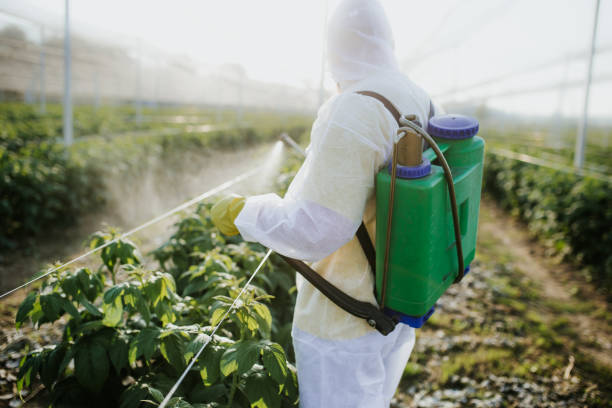 Professional Pest Control in Roslyn Estates, NY